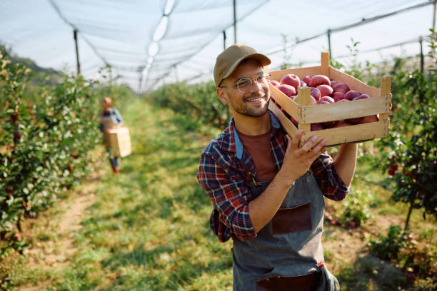 Farm Worker Jobs in Italy